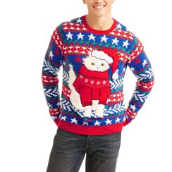 Cat In Sweater Men's Ugly Christmas Sweater - AOP Sweater - Red