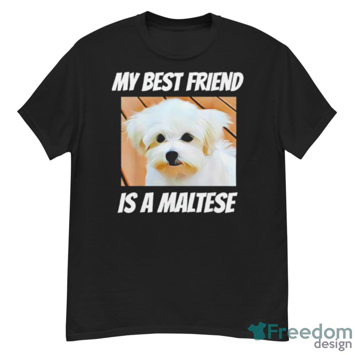 My Best Friend Is A Maltese Shirt - G500 Men’s Classic T-Shirt