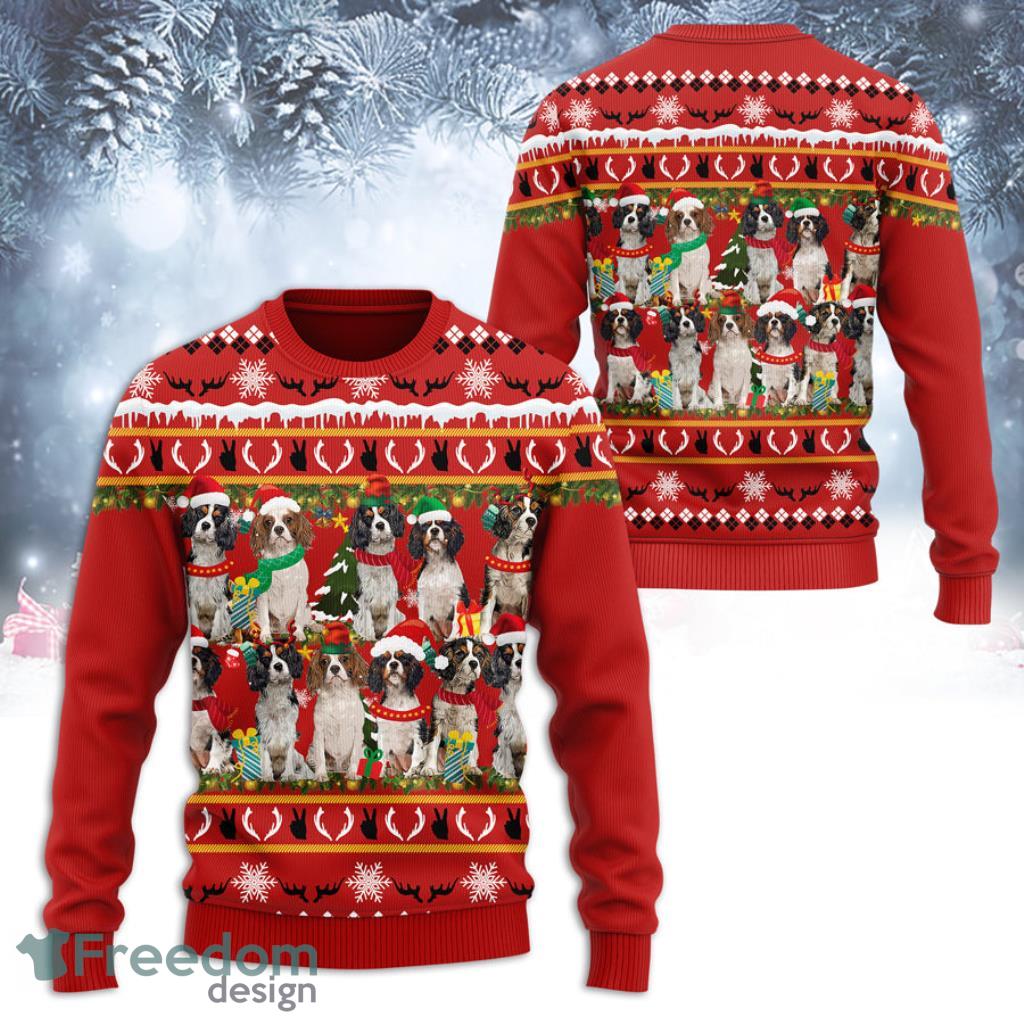 Santa Baby Dog Christmas Sweater