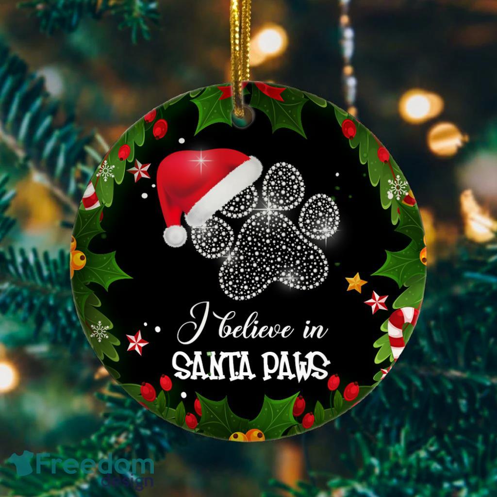 I Believe in Santa Paws Funny Christmas Cat Flat Holiday Circle Ornament image I Believe in Santa Paws Funny Christmas Cat Flat Holiday Circle Ornament Product Photo 1