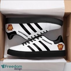 Pennsylvania Railroad Low Top Skate Shoes For Men And Women Fans Gift Shoes Product Photo 2