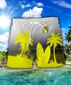 US Carcassonne Combo Hawaiian Shirt And Shorts Surfboards Coconut Custom Name For Fans Product Photo 2