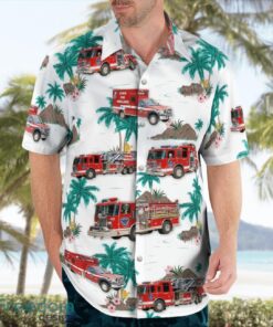 Illinois, Byron Fire Protection District Beach Hawaiian Shirt Summer Gift Product Photo 4